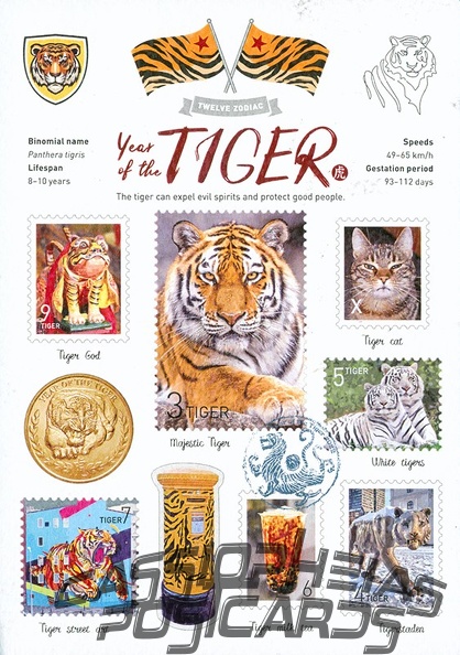 WT Year of the Tiger