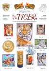 WT Year of the Tiger