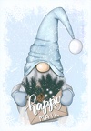 Christmas - Gnome