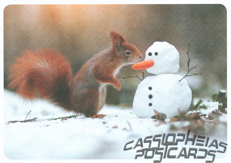 Squirrel in Snow with Snowman
