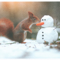 Squirrel in Snow with Snowman