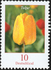 Blumen: 0,10 Tulpe