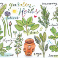 Garden Herbs