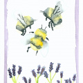 Watercolour: Lavender & Bumblebees
