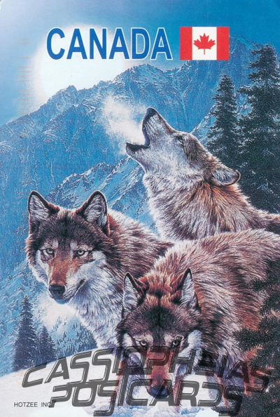 6 Wolves
