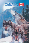 6 Wolves