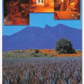 26 Agave Landscape and Ancient Industrial Facilities of Tequila