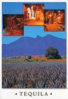 26 Agave Landscape and Ancient Industrial Facilities of Tequila