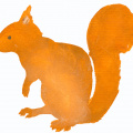 Acrylic Paint: Squirrel