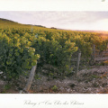 42 The Climats, terroirs of Burgundy