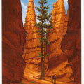 7 Bryce Canyon National Park