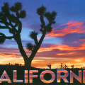 8 California
