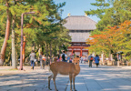 09 Historic Monuments of Ancient Nara