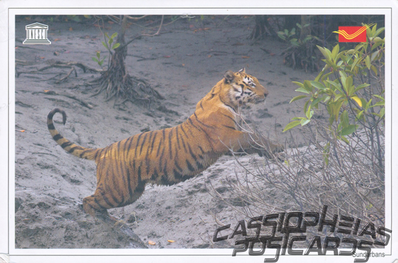 17 Sundarbans National Park