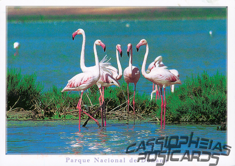 21 Doñana National Park
