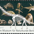 [2010] 200 Jahre Museum für Naturkunde Berlin
