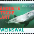 [2019] Der Schweinswal – Gefährdete Walart in Deutschland