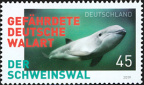 [2019] Der Schweinswal – Gefährdete Walart in Deutschland