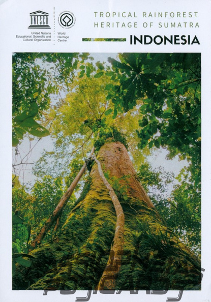 07 Tropical Rainforest Heritage of Sumatra