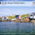 17 Red Bay Basque Whaling Station