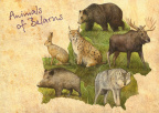 2 Map Animals of Belarus