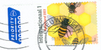 [NL 2021] bijen voor gele honingraat