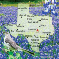 1 Map Texas