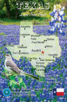 1 Map Texas