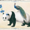 1000 - Best Buddies, Panda & Pfau