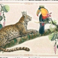 0996 - Best Buddies, Leopard & Tukan