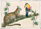 0996 - Best Buddies, Leopard & Tukan