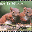 2015 - Eichhörnchen