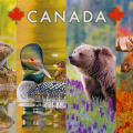 6 Canada Wildlife