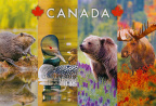 6 Canada Wildlife