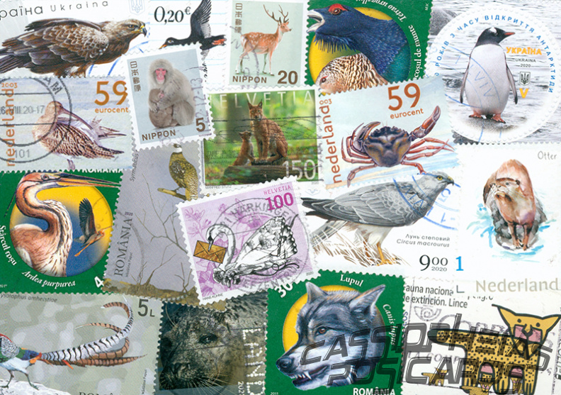 Stamp Collage: Animals