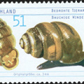 2002 - Bauchige Windelschnecke