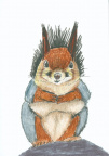 Drawn: Squirrel