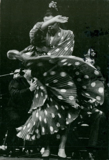 08 Flamenco