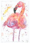 Watercolour: Flamingo