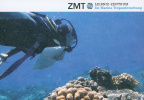 ZMT - Diver
