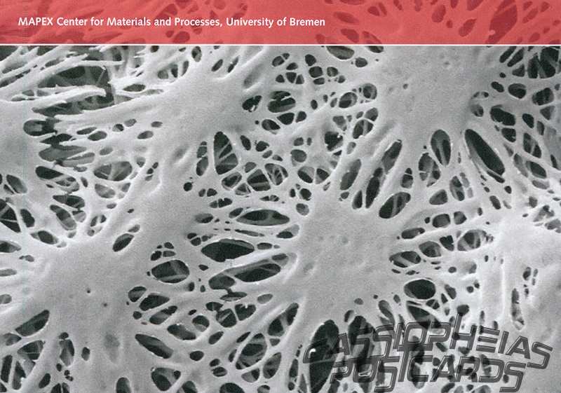 MAPEX - Nanofibrous Fibrinogen Scaffolds