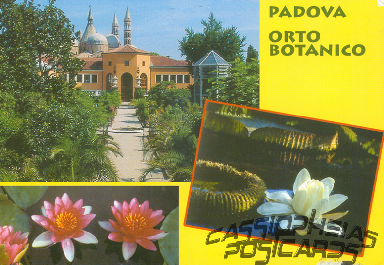 21 Botanical Garden (Orto Botanico), Padua