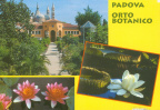 21 Botanical Garden (Orto Botanico), Padua