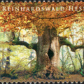 [2017] Reinhardswald