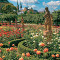 Bamberg - New Residence (Rose Garden)