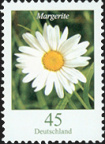 Blumen: 0,45 Margerite