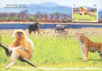 09 Manas Wildlife Sanctuary