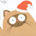 Christmas - Cat