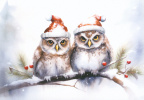 Christmas - Owls