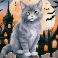 Halloween - Cat
